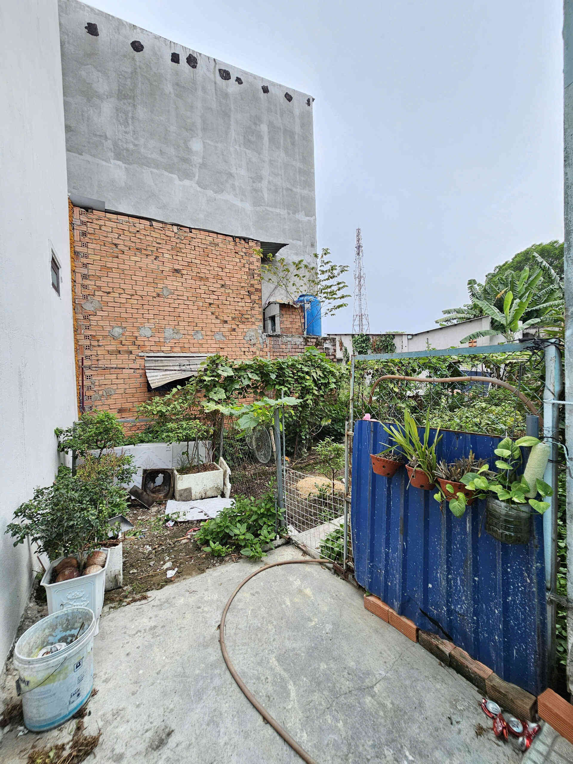 Bán đất 5.3x23m, hẻm Nguyễn Thái Học p. Dĩ An gần chợ Dĩ An 1