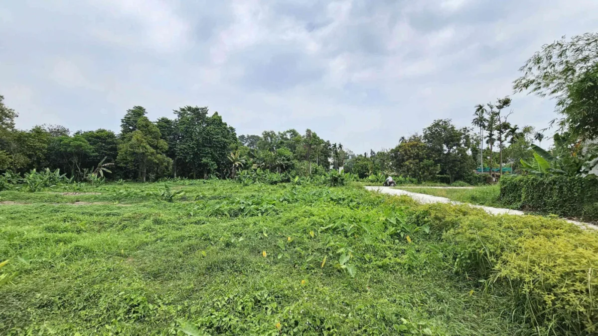 Bán đất 3635m2, hẻm Nguyễn Chí Thanh p. Lái Thiêu