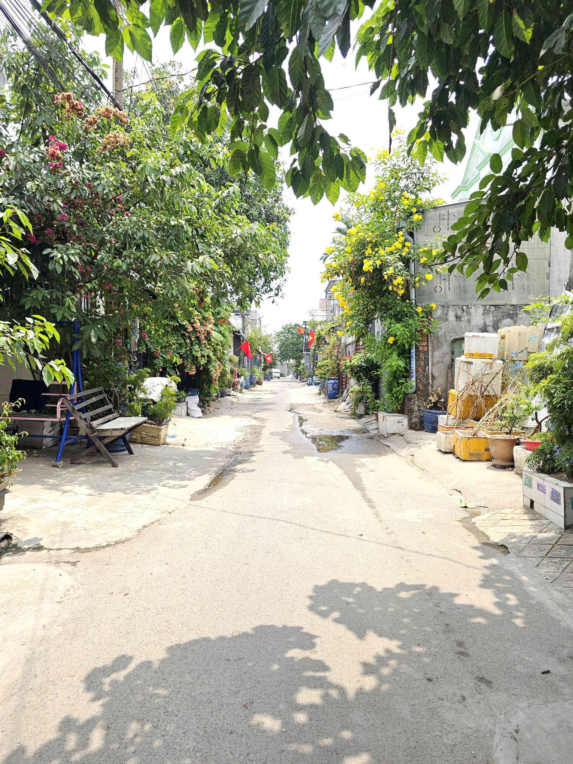 Bán dãy trọ 5×16.4m, hẻm An Phú 18 p. Bình Chuẩn, thu 4tr/th