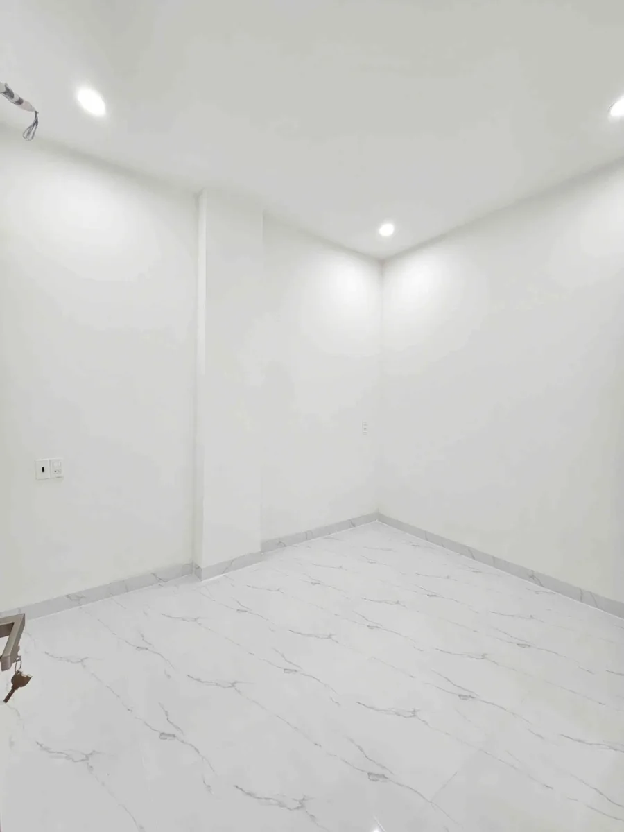 Bán nhà mới 1T2L 4x15m, đường D2 KDC Phú Hồng Đạt, full nội thất (Trục chính)
