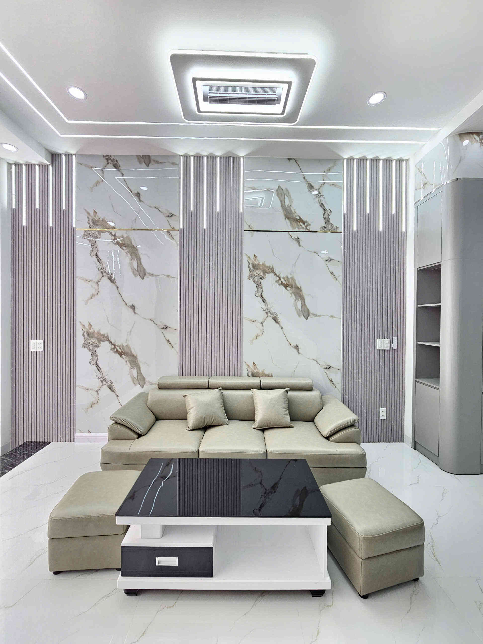 Bán nhà mới 1T2L 4x15m, đường D2 KDC Phú Hồng Đạt, full nội thất (Trục chính)