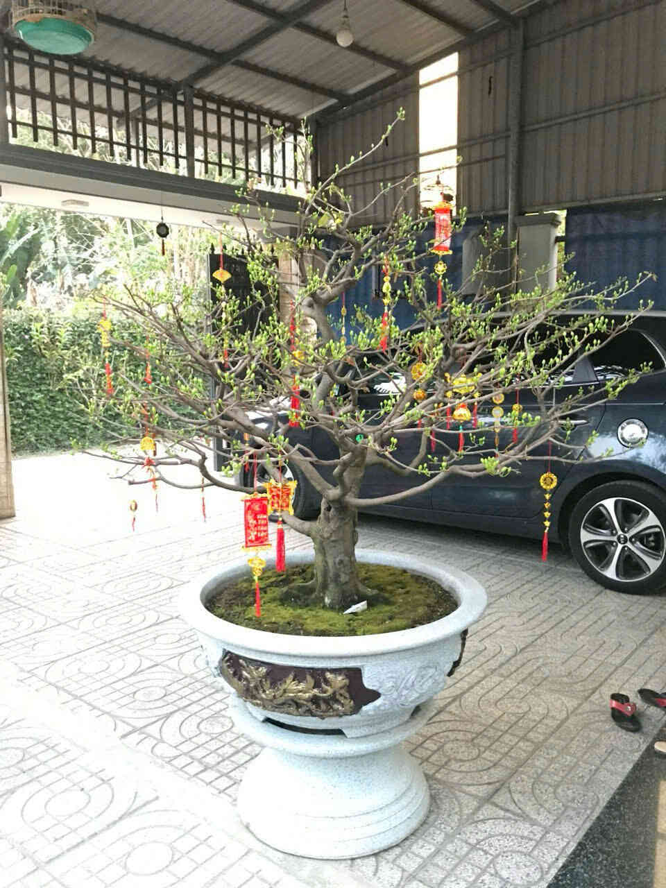 Bán nhà cấp 4 (5.9x33m), hẻm Nguyễn An Ninh gần trường cấp 1,2,3
