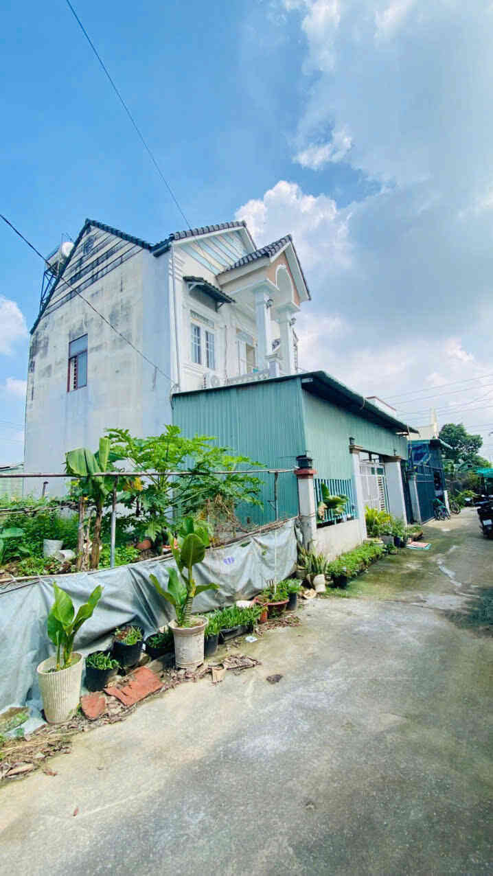 Bán nhà 1T1L 9.8x12m, hẻm đường DX10 p. Tân Vĩnh Hiệp