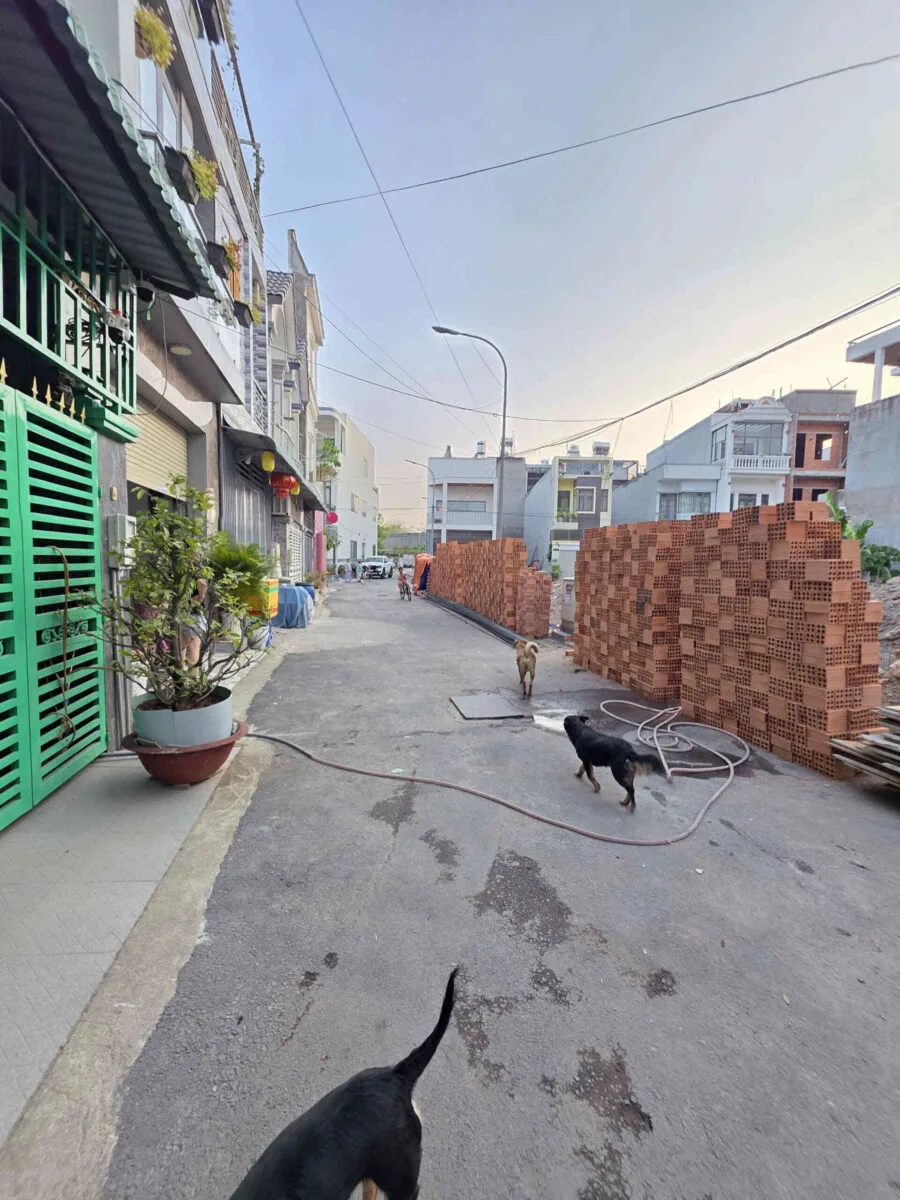 Bán nhà mới (đang xây) 1T2L 12.5x6m hoàn công, hẻm Nguyễn Thị Tồn p. Biên Hòa