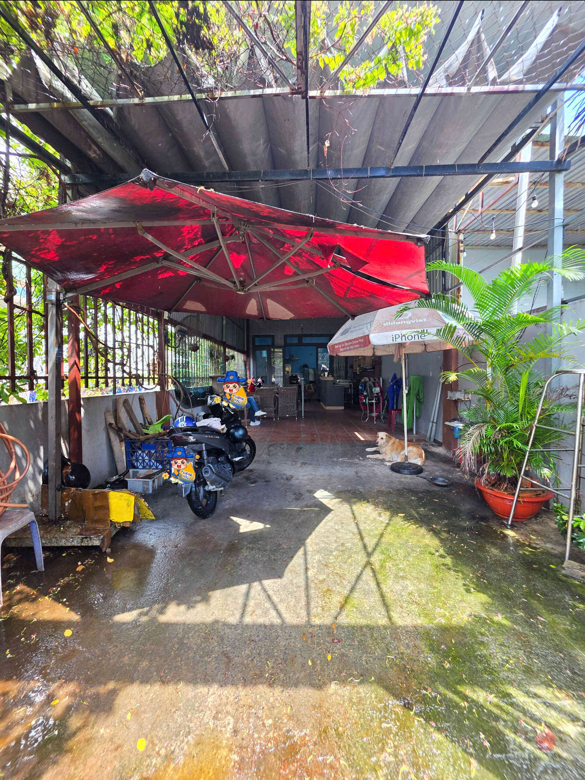 Bán nhà cấp 4 (5x33m), hẻm Lê Hồng Phong gần trường cấp 3 (Giá rẻ)