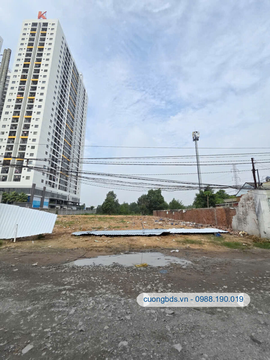 Bán đất 8x45m, mặt tiền Thuận Giao 25 gần chợ Lâm Phát