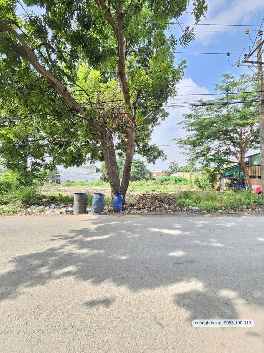 Bán đất 4.55x 25m, hẻm Thống Nhất gần làng đại học