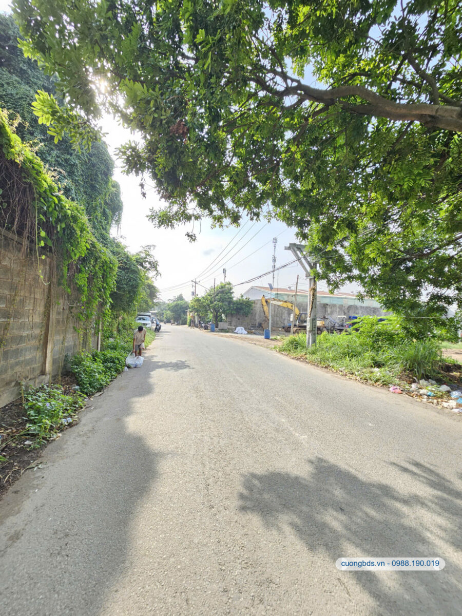 Bán đất 4.55x 25m, hẻm Thống Nhất gần làng đại học
