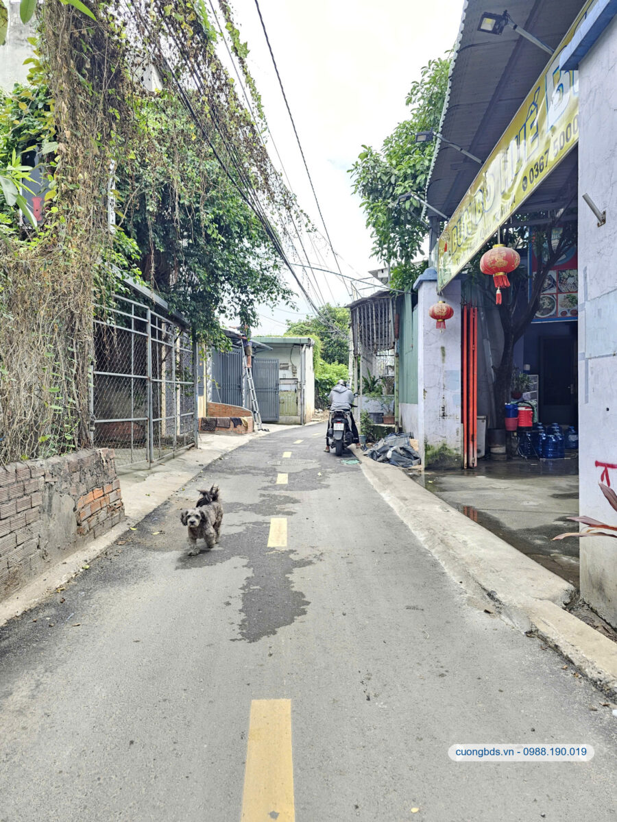 Bán đất 5.9×16.5m, hẻm Hai Bà Trưng gần GO Dĩ An