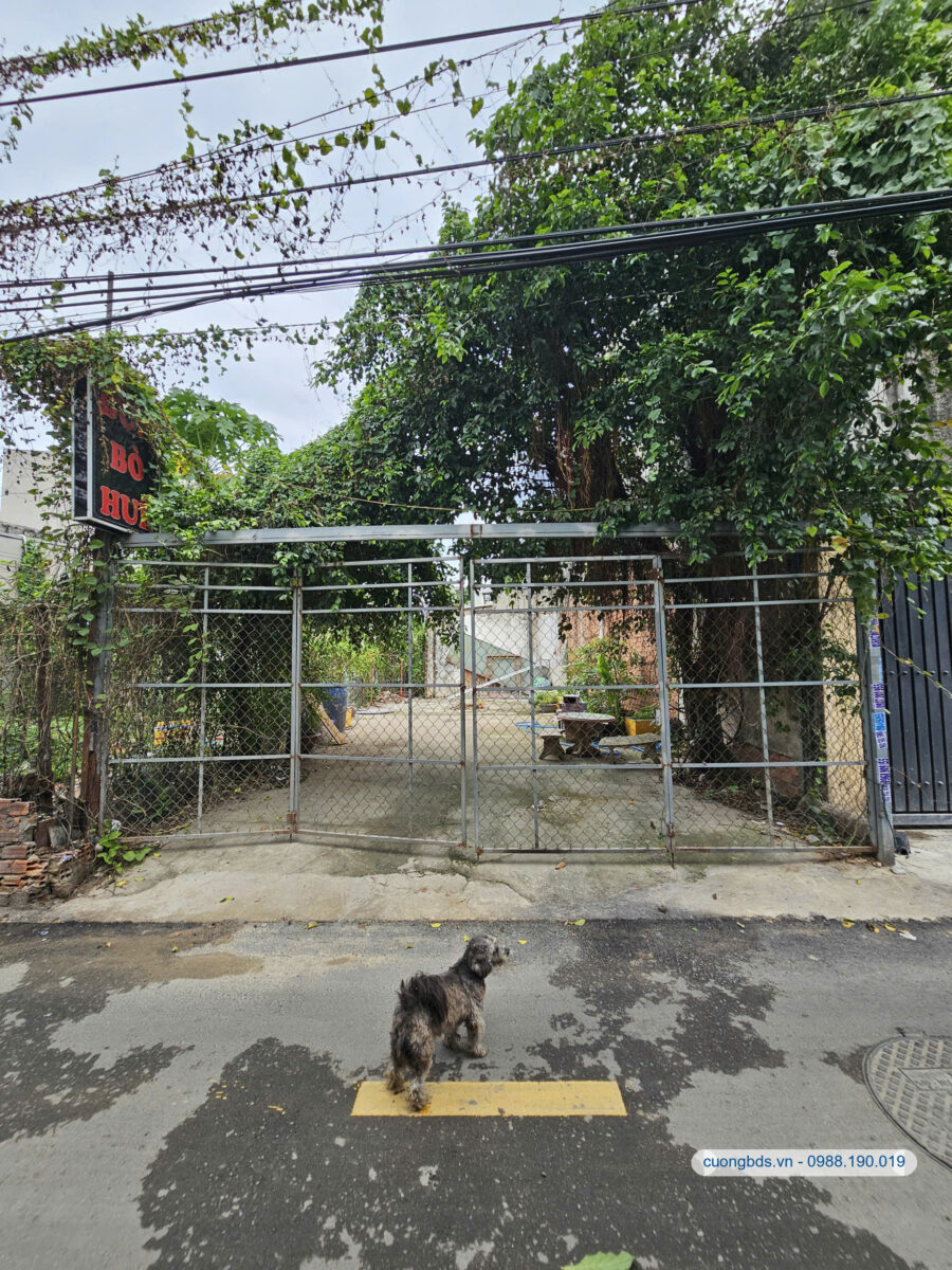 Bán đất 5.9×16.5m, hẻm Hai Bà Trưng gần GO Dĩ An
