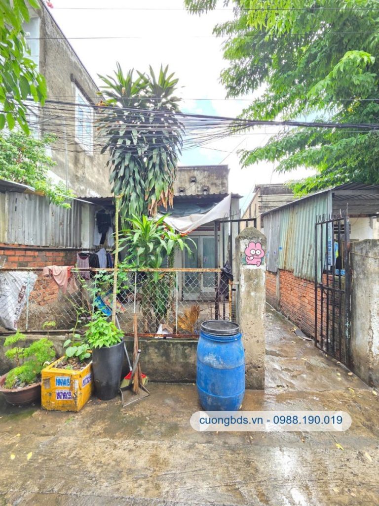 Bán dãy trọ 5×27.7m nở hậu, hẻm Nguyễn Đức Thiệu (thổ cư 100%, thu nhập 8tr/th)
