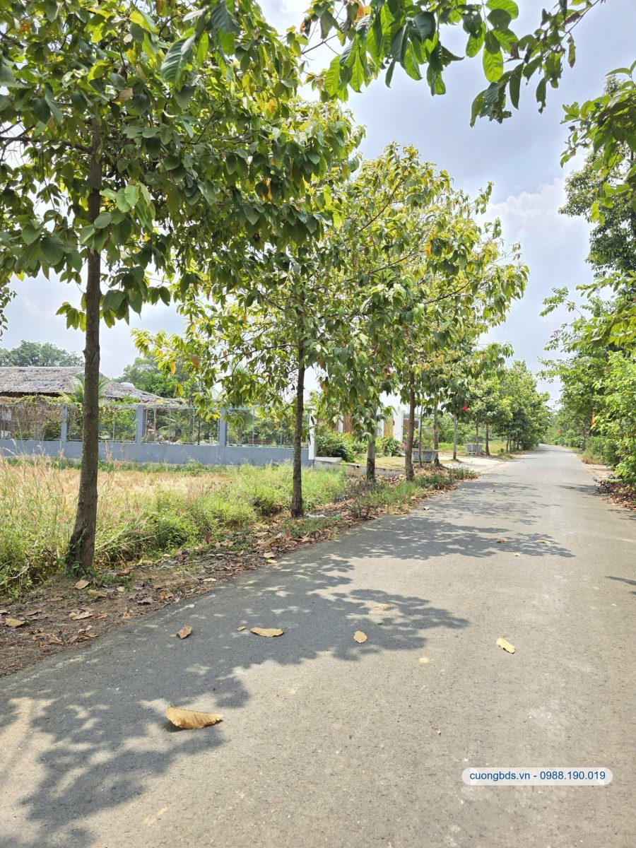 Bán đất 24.5x54.2m, hẻm Thạnh Hội 4 kế sông đồng nai (cù lao)