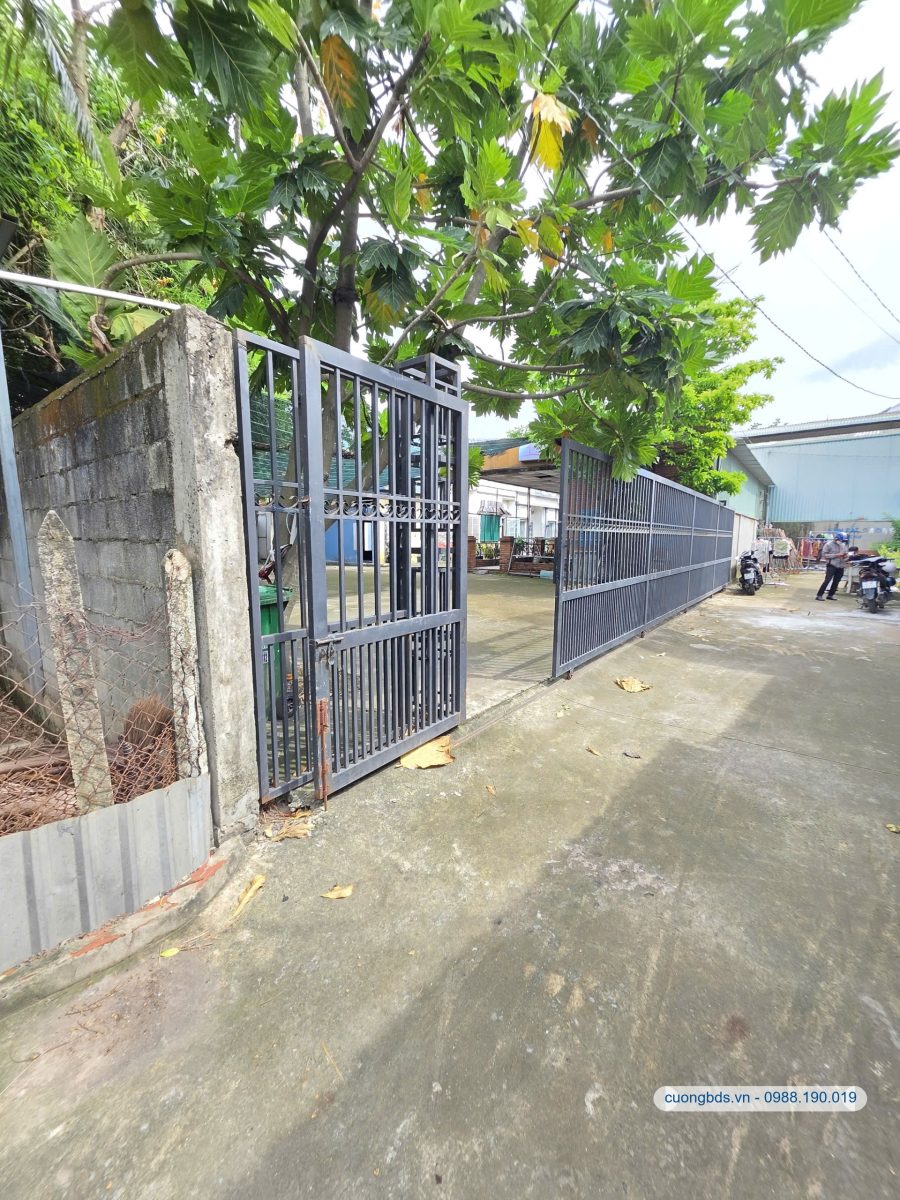 Bán đất 8.5x48m, hẻm Bùi Thị Xuân gần chợ Tân Bình (3 lô, giá rẻ)