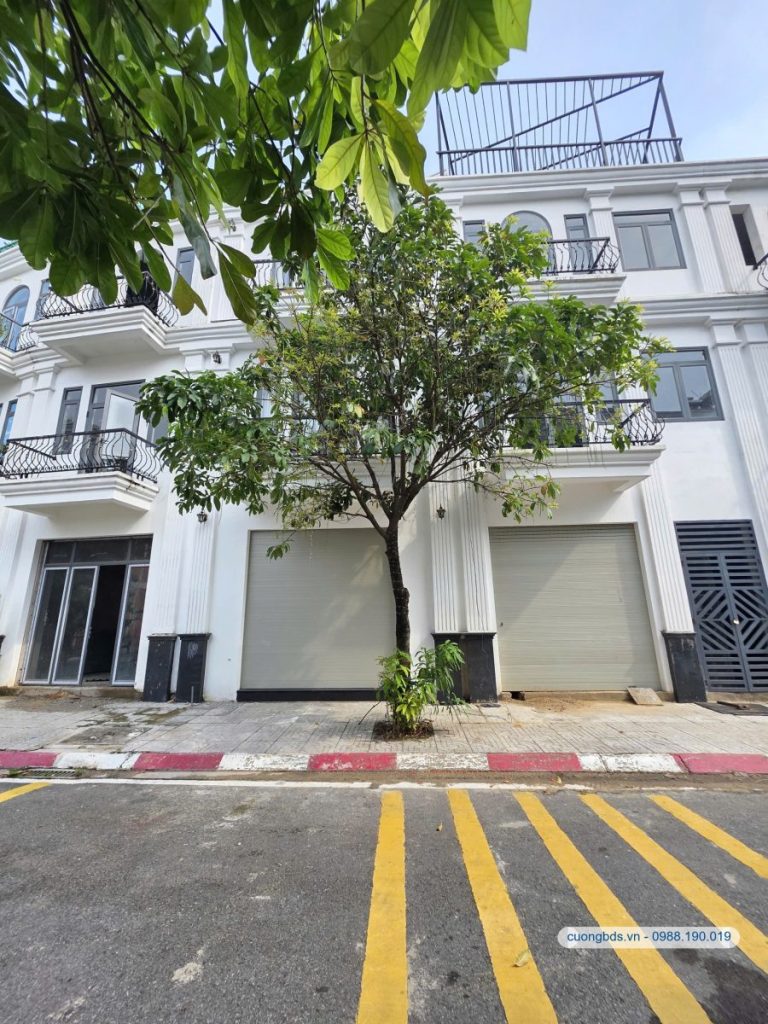 Bán nhà 1T3L 4.9×12.5m, đường N1 KDC Hoàng Tiến (hoàn công, không vướng)